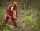 Watex Forstschutz-Bundhose Forest-Jack-Red, Größe: 98/102